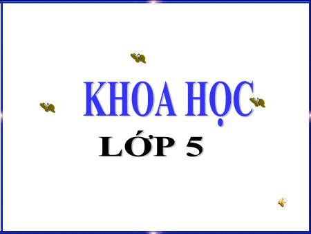 Bài giảng môn Khoa học Lớp 5 - Bài: Hỗn hợp