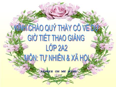 Bài giảng môn Tự nhiên xã hội Lớp 2 - Bài 9: Đề phòng bệnh giun