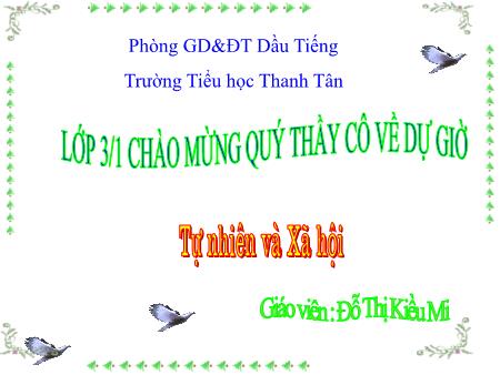 Bài giảng môn Tự nhiên xã hội Lớp 3 - Bài 52: Động vật - Đỗ Thị Kiều Mi