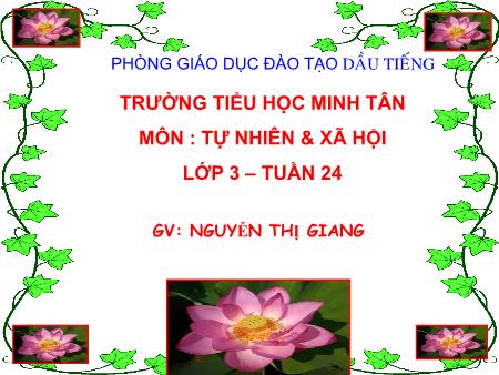 Bài giảng môn Tự nhiên xã hội Lớp 3 - Bài: Hoa - Nguyễn Thị Giang