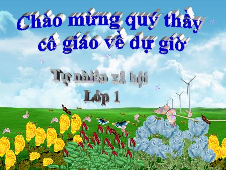 Bài giảng Tự nhiên xã hội Lớp 1 - Bài 17: Giữ gìn lớp học sạch, đẹp