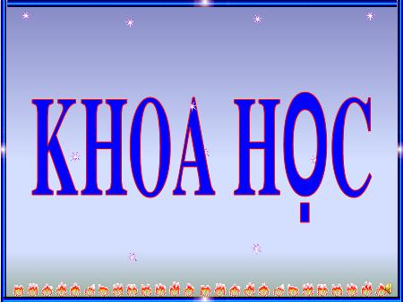 Bài giảng môn Khoa học Lớp 4 - Bài: Nước cần cho sự sống - Năm học 2018-2019