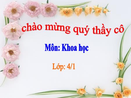 Bài giảng môn Khoa học Lớp 4 - Bài: Nước có những tính chất gì ? - Năm học 2014-2015 - Nguyễn Thị Ngọc Linh