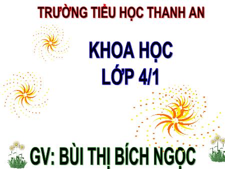 Bài giảng môn Khoa học Lớp 4 - Bài: Phòng bệnh béo phì - Năm học 2018-2019 - Bùi Thị Bích Ngọc