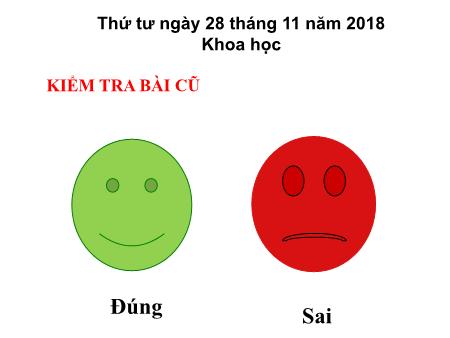 Bài giảng môn Khoa học Lớp 4 - Bài: Tiết kiệm nước - Năm học 2018-2019