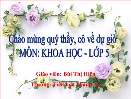Bài giảng môn Khoa học Lớp 5 - Bài 13: Phòng bệnh sốt xuất huyết - Năm học 2017-2018 - Bùi Thị Hiền
