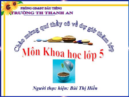 Bài giảng môn Khoa học Lớp 5 - Bài: Cây con mọc lên từ hạt - Năm học 2014-2015 - Bùi Thị Hiền