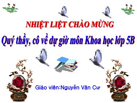 Bài giảng môn Khoa học Lớp 5 - Bài: Nhôm - Năm học 2017-2018 - Nguyễn Văn Cư