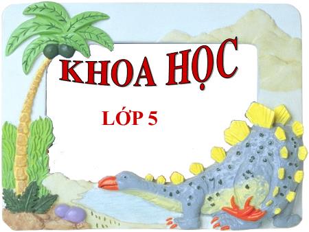 Bài giảng môn Khoa học Lớp 5 - Bài: Ôn tập Thực vật và động vật - Năm học 2017-2018
