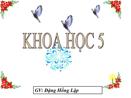 Bài giảng môn Khoa học Lớp 5 - Bài: Phòng bệnh viêm não - Năm học 2017-2018 - Đặng Hồng Lập