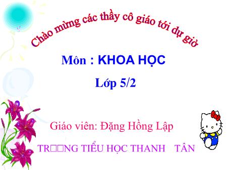 Bài giảng môn Khoa học Lớp 5 - Bài: Sự sinh sản của thú - Năm học 2016-2017 - Đặng Hồng Lập