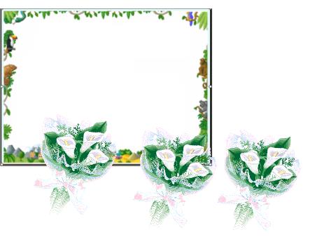 Bài giảng môn Lịch sử Lớp 4 - Bài: Trịnh Nguyễn phân tranh