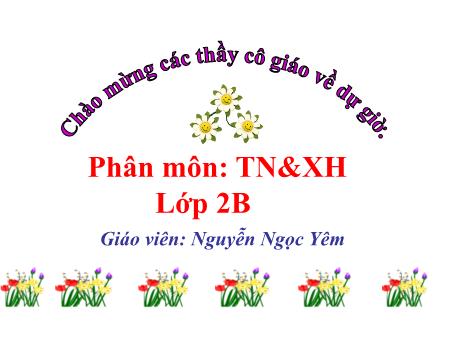 Bài giảng môn Tieensg Việt Lớp 2 - Tập đọc - Bài 28: Ngôi trường mới - Nguyễn Ngọc Yêm