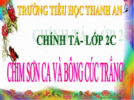 Bài giảng môn Tiếng Việt Lớp 2 - Chính tả - Bài: Chim sơn ca và bông cúc trắng