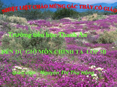 Bài giảng môn Tiếng Việt Lớp 3 - Chính tả - Bài: Bận - Năm học 2016-2017 - Nguyễn Thị Thu Hồng