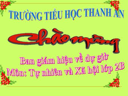 Bài giảng môn Tự nhiên xã hội Lớp 2 - Bài 17: Phòng tránh ngã khi ở trường - Năm học 2014-2015