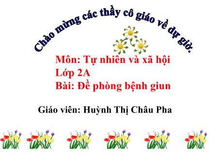 Bài giảng môn Tự nhiên xã hội Lớp 2 - Bài: Đề phòng bệnh giun - Năm học 2016-2017 - Huỳnh Thị Châu Pha