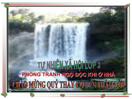 Bài giảng môn Tự nhiên xã hội Lớp 2 - Bài: Phòng tránh ngộ độc khi ở nhà - Năm học 2017-2018