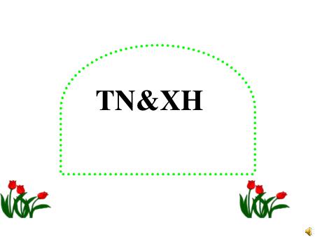 Bài giảng môn Tự nhiên xã hội Lớp 3 - Bài 53: Chim - Nguyễn Ngọc Yêm Bài giảng môn Tự nhiên xã hội Lớp 3 - Bài 53: Chim - Nguyễn Ngọc Yêm