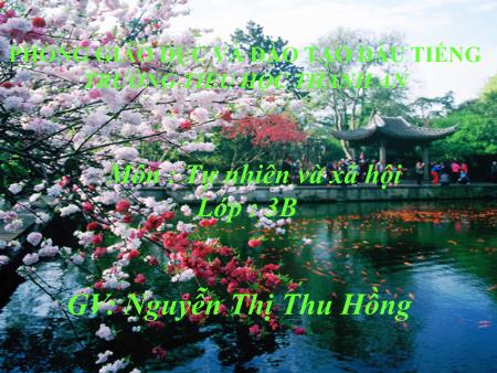 Bài giảng môn Tự nhiên xã hội Lớp 3 - Bài: Hoạt động thần kinh - Năm học 2016-2017 - Nguyễn Thị Thu Hồng
