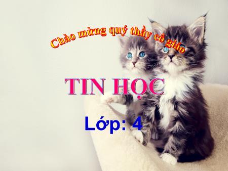Bài giảng Tin học Lớp 4 - Bài 3: Cỡ chữ và phông chữ