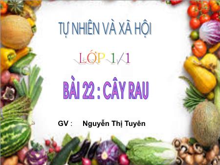 Bài giảng Tự nhiên xã hội Lớp 1 - Bài 22: Cây rau - Năm học 2017-2018 - Nguyễn Thị Tuyên