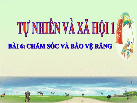 Bài giảng Tự nhiên xã hội Lớp 1 - Bài 6: Chăm sóc và bảo vệ răng