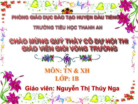 Bài giảng Tự nhiên xã hội Lớp 1 - Bài 8: Ăn, uống hằng ngày - Năm học 2016-2017 - Nguyễn Thị Thúy Nga
