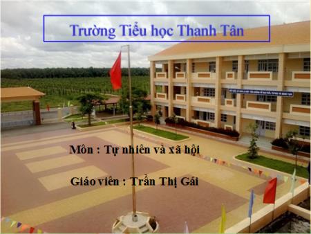 Bài giảng Tự nhiên xã hội Lớp 3 - Bài 58: Mặt Trời - Năm 2017-2018 - Trần Thị Gái