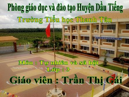 Bài giảng Tự nhiên xã hội Lớp 3 - Bài: Hoạt động thần kinh ( tiếp theo ) - Năm 2017-2018 - Trần Thị Gái