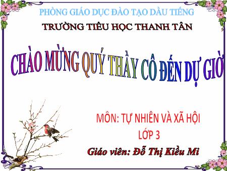 Bài giảng Tự nhiên xã hội Lớp 3 - Bài: Không chơi các trò chơi nguy hiểm - Đỗ Thị Kiều Mi
