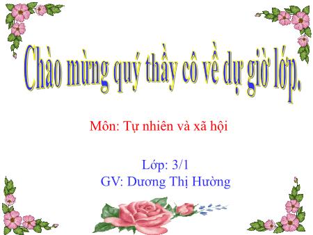 Bài giảng Tự nhiên xã hội Lớp 3 - Bài: Ôn tập: Con người và sức khỏe - Năm 2018-2019 - Dương Thị Hường