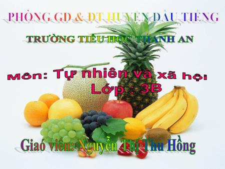 Bài giảng Tự nhiên xã hội Lớp 3 - Bài: Quả - Năm học 2016-2017 - Nguyễn Thị Thu Hồng