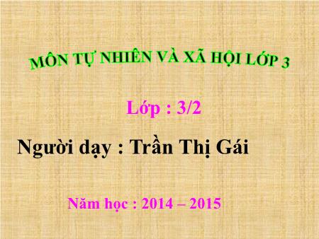 Bài giảng Tự nhiên xã hội Lớp 3 - Bài: Thân cây - Năm 2014-2015 - Trần Thị Gái