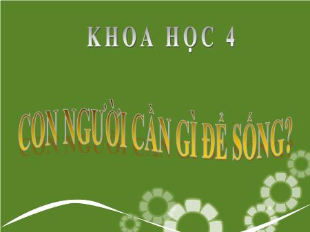 Giáo án Khoa học Lớp 4 - Bài: Con người cần gì để sống?