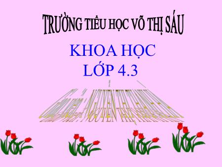 Giáo án môn Khoa học Lớp 4 - Bài: Bảo vệ bầu không khí trong sạch - Nguyễn Thị Thanh Hà Giáo án môn Khoa học Lớp 4 - Bài: Bảo vệ bầu không khí trong sạch - Nguyễn Thị Thanh Hà