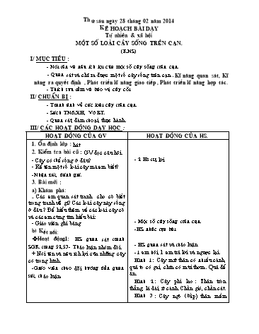 Giáo án môn Tự nhiên xã hội Khối 2 - Bài: Một số loài cây sống trên cạn - Văn Thị Cẩm Vân