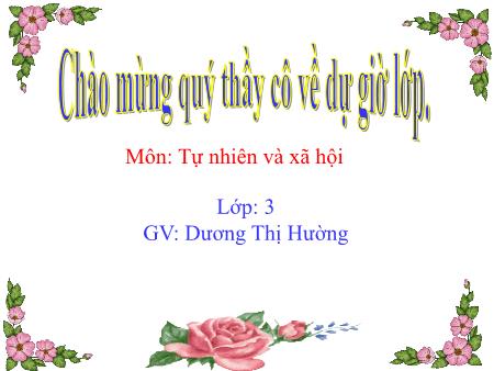 Kết luận: Ở mỗi tỉnh (thành phố) đều có các cơ quan: Hành chính, văn hóa, giáo dục, y tế,…để điều hành công việc, phục vụ đời sống vật chất, tinh thần và sức khỏe của nhân dân