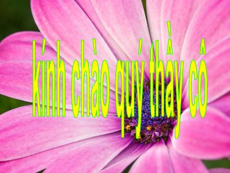 Bài giảng Giáo dục công dân Lớp 6 - Bài 8: Sống chan hòa với mọi người