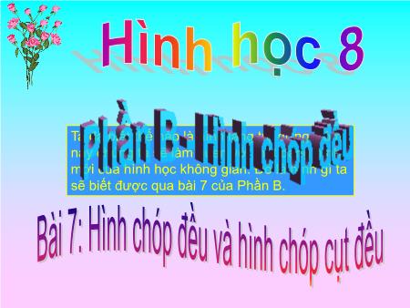 Bài giảng Hình học Lớp 8 - Bài 7: Hình chóp đều và hình chóp cụt đều