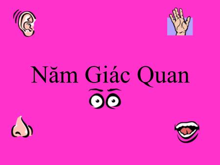 Bài giảng mầm non Lớp Chồi - Chủ đề: Năm giác quan