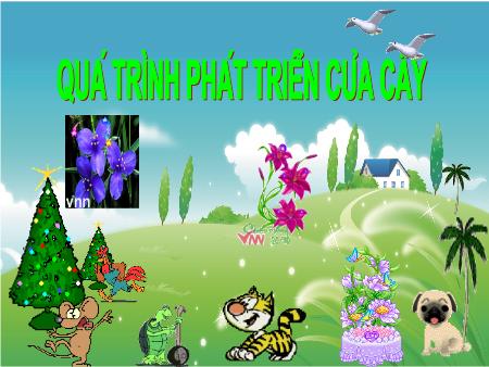 Bài giảng mầm non Lớp Chồi - Khám phá khoa học - Chủ đề: Quá trình phát triển của cây