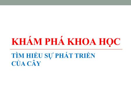 Bài giảng mầm non Lớp Chồi - Khám phá khoa học - Đề tài: Tìm hiểu sự phát triển của cây