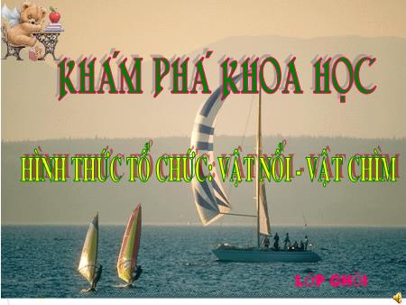 Bài giảng mầm non Lớp Chồi - Khám phá khoa học - Hình thức tổ chức: Vật nổi-vật chìm