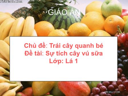 Bài giảng mầm non Lớp Lá - Chủ đề: Trái cây quanh bé - Đề tài: Sự tích cây vú sữa