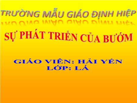Bài giảng mầm non Lớp Lá - Đề tài: Sự phát triển của Bướm - Hải Yến