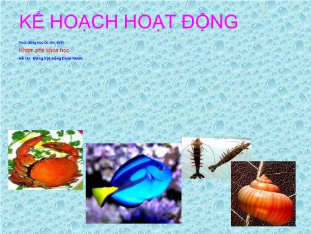 Bài giảng mầm non Lớp Lá - Khám phá khoa học - Đề tài: Động vật sống dưới nước