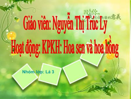 Bài giảng mầm non Lớp Lá - Khám phá khoa học - Đề tài: Hoa sen và hoa hồng - Nguyễn Thị Trúc Ly