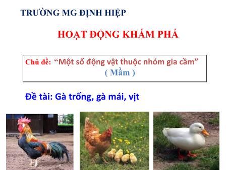 Bài giảng mầm non Lớp Mầm - Chủ đề: Chủ đề: “Một số động vật thuộc nhóm gia cầm” - Đề tài: Gà trống, gà mái, vịt - Trường mầm non Định Hiệp
