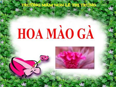 Bài giảng mầm non Lớp Mầm - Phát triển ngôn ngữ - Đề tài: Truyện "Hoa mào gà"- Trường mầm non Lê Thị Trung